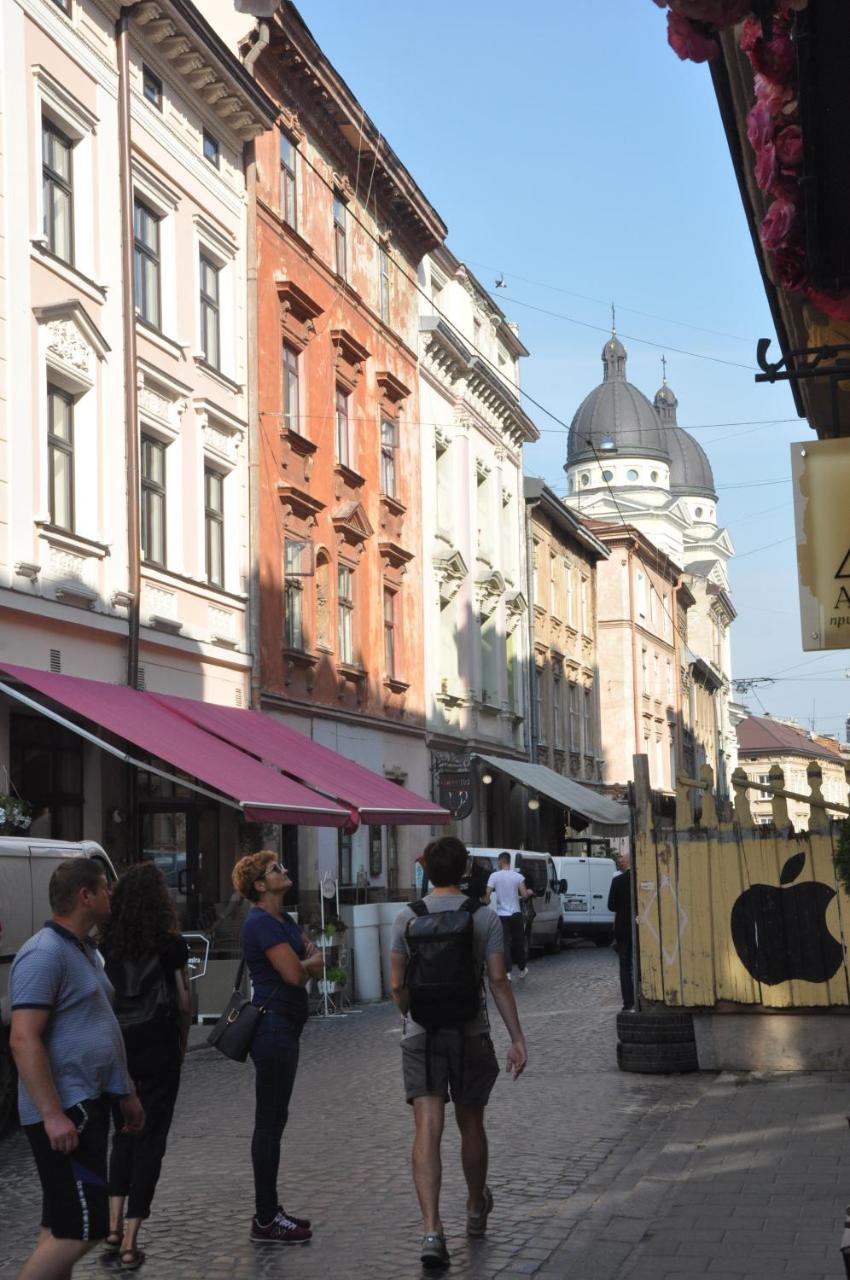 In Center Apartment Lviv